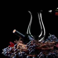 Lavish Crystal U-shaped Wine Decanter 1500ml